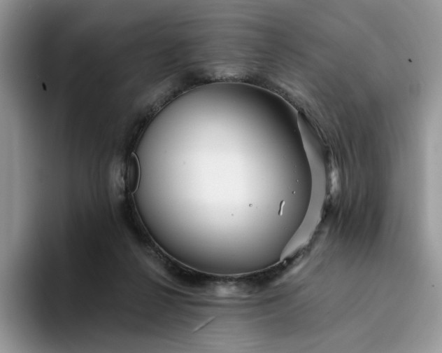 X0000094190264200711091206