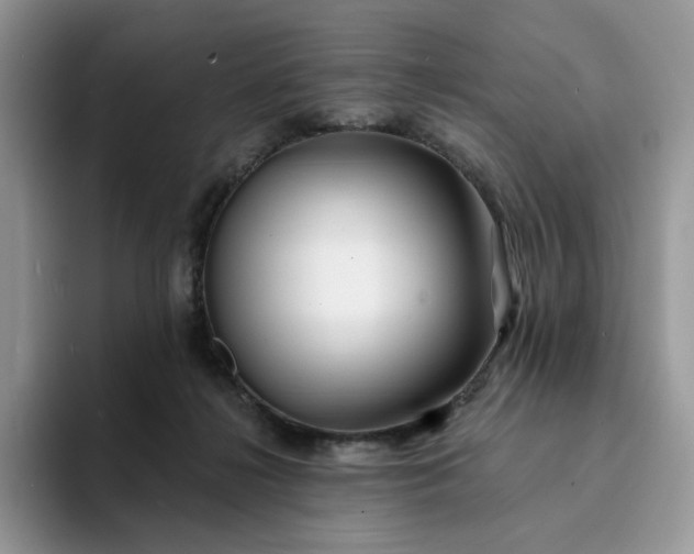 X0000094190268200711091206