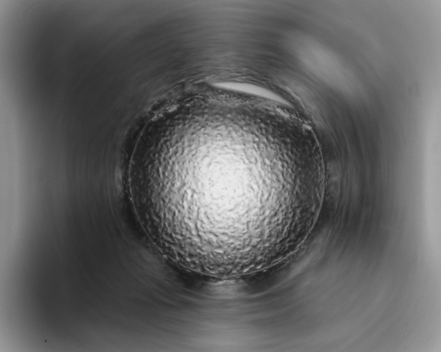 X0000094190269200711091206