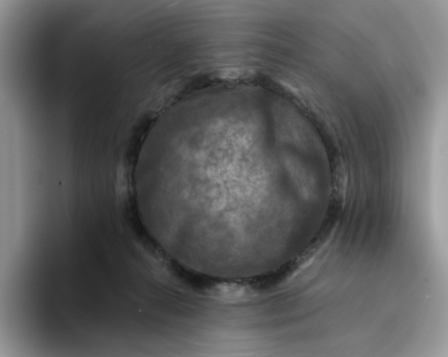 X0000094190272200711091206