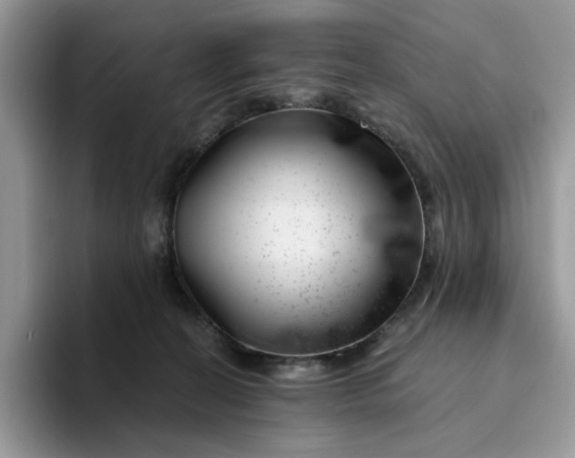 X0000094190274200711091206