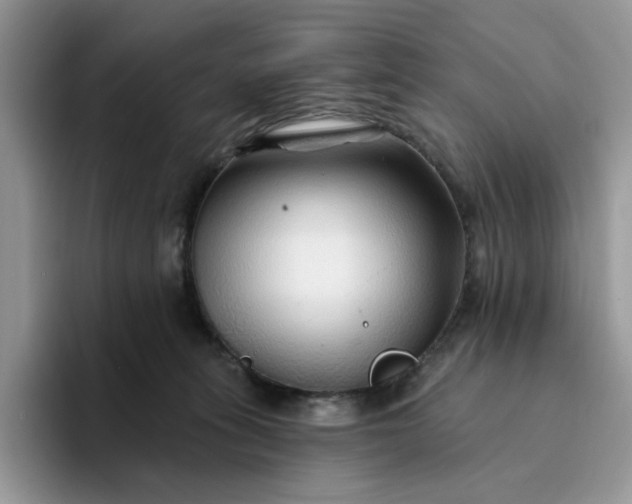 X0000094190275200711091206