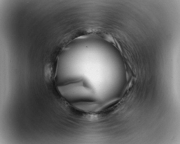 X0000094190276200711091206