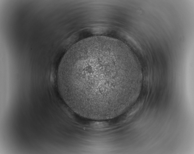 X0000094190277200711091206