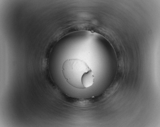 X0000094190278200711091206