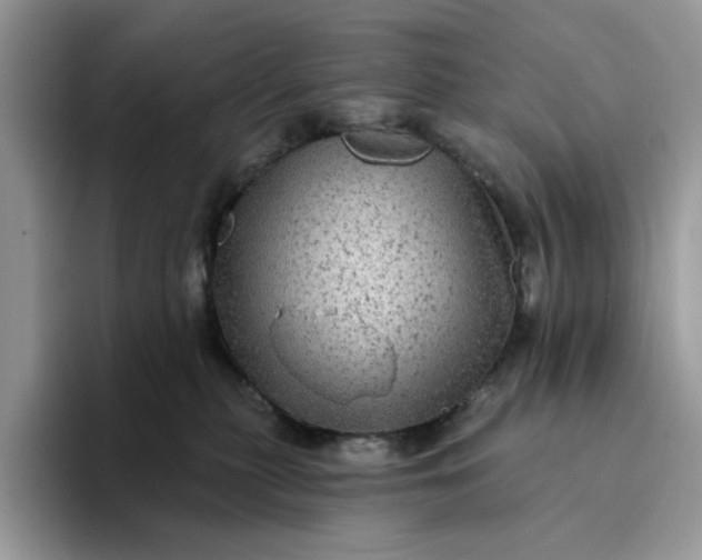 X0000094190279200711091206