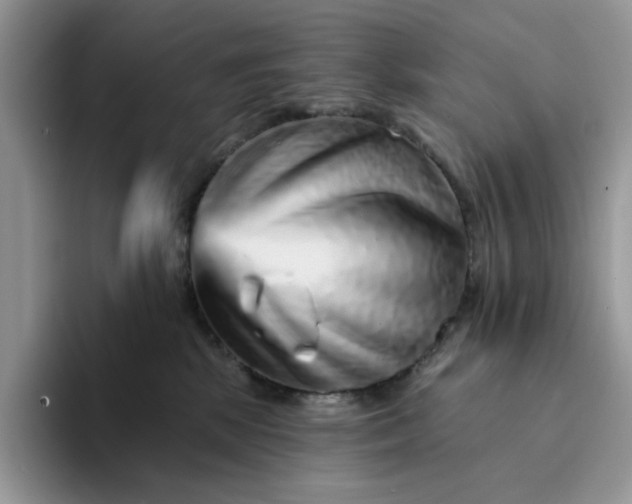 X0000094190281200711091206