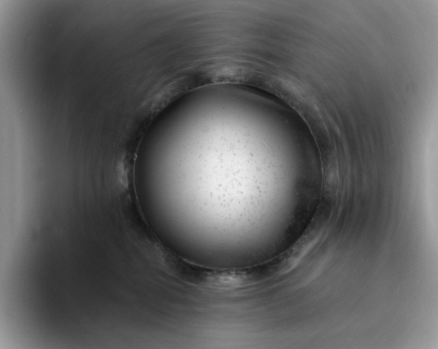 X0000094190282200711091207