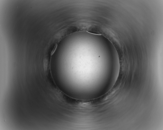 X0000094190283200711091207