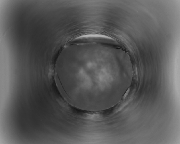 X0000094190284200711091207