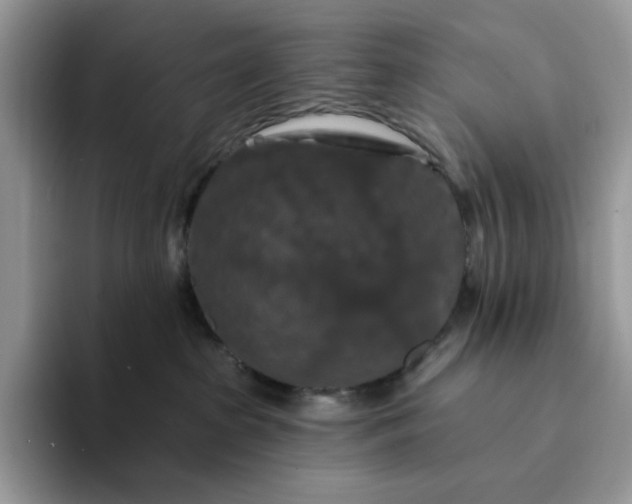 X0000094190285200711091207