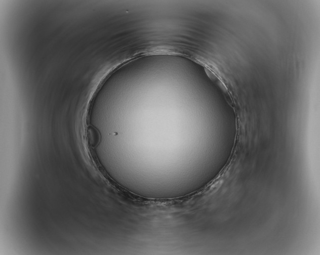 X0000094190289200711091206