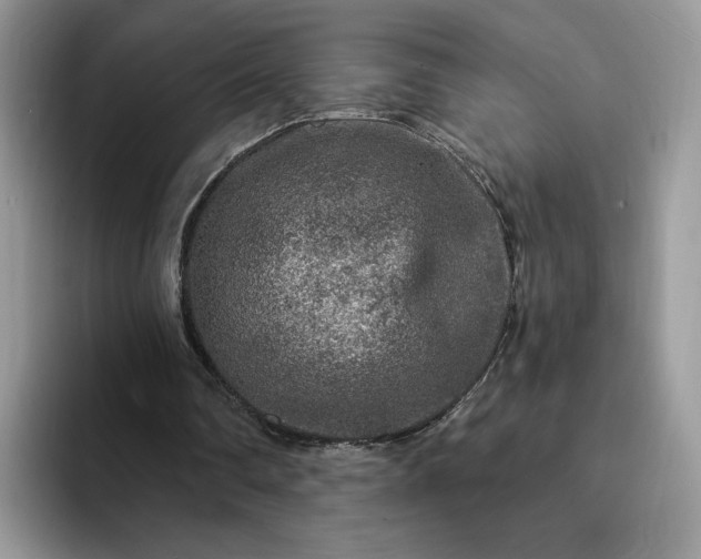 X0000094190290200711091206