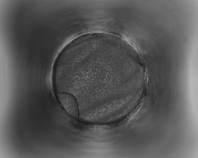 X0000094190292200711091206