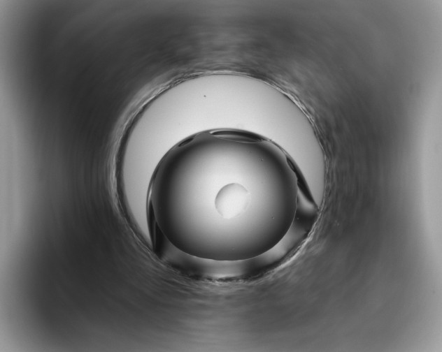 X0000094190293200711091206