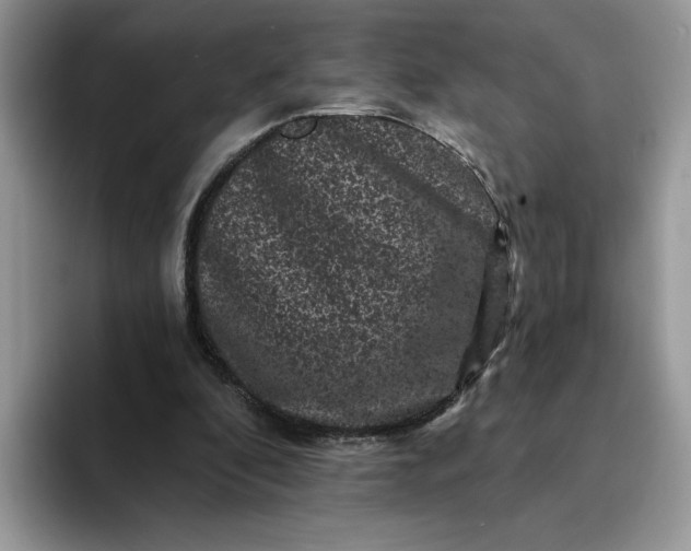 X0000094190296200711091206