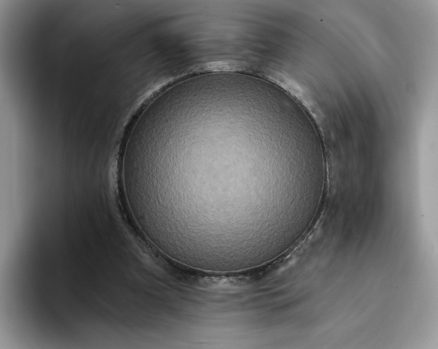 X0000094190297200711091206