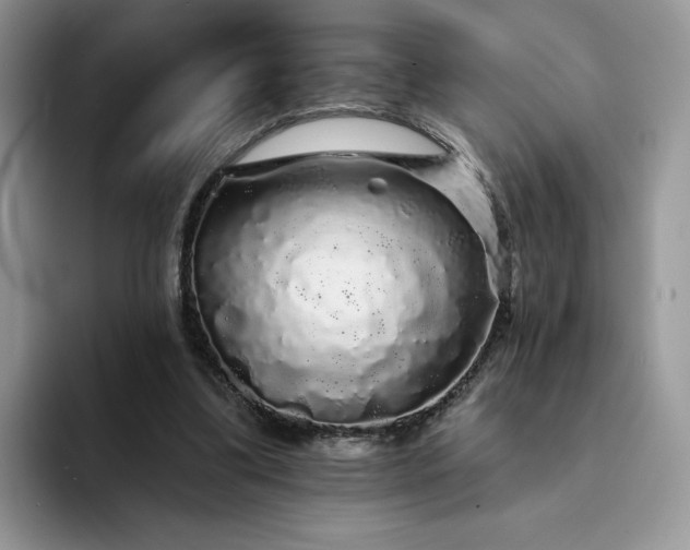 X0000094190299200711091206