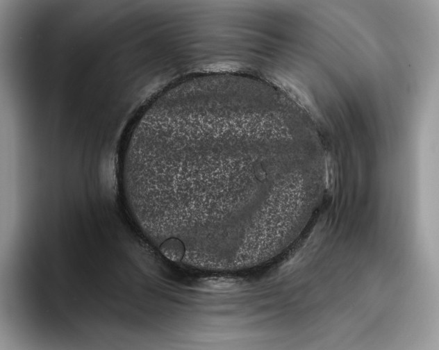 X0000094190300200711091206