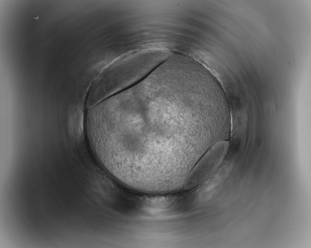 X0000094190301200711091206