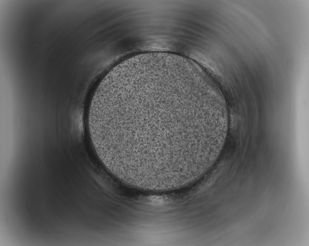 X0000094190302200711091206