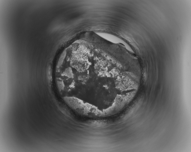 X0000094190303200711091206