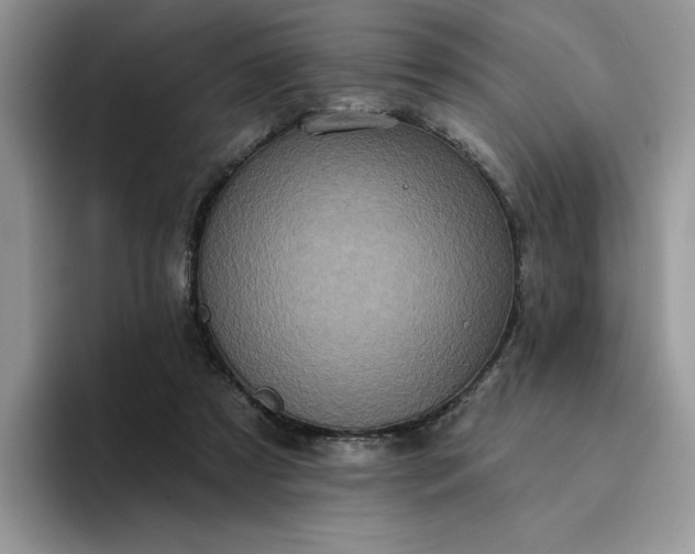 X0000094190305200711091206