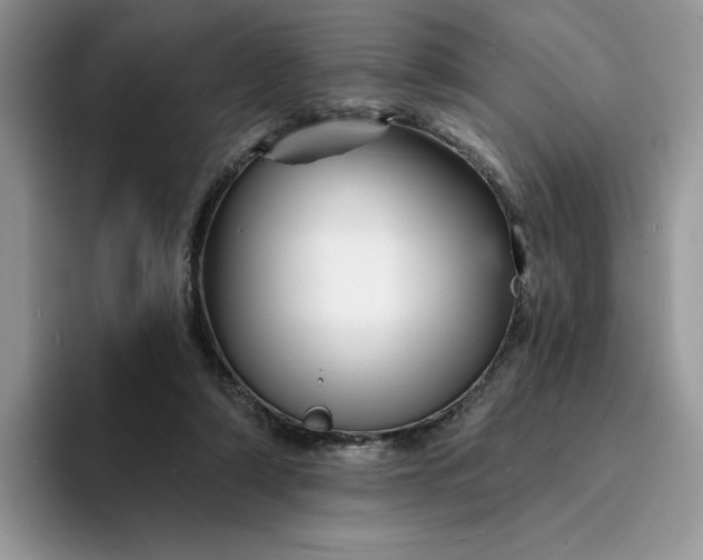 X0000094190306200711091206