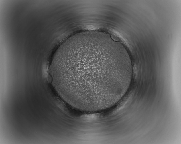 X0000094190307200711091206