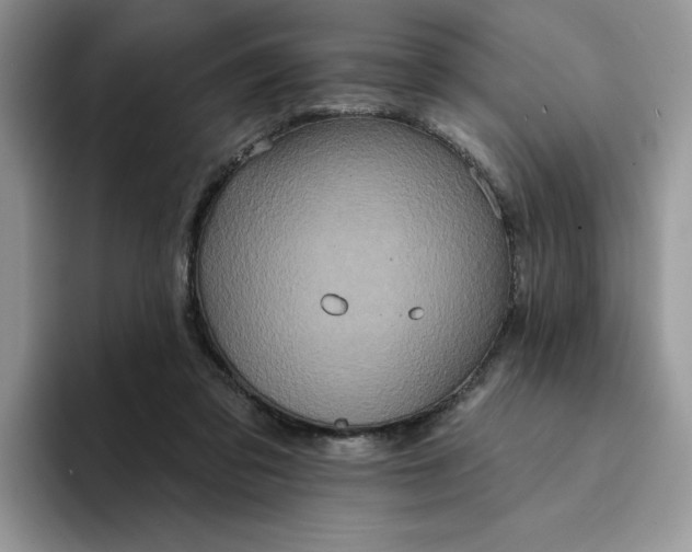 X0000094190309200711091206