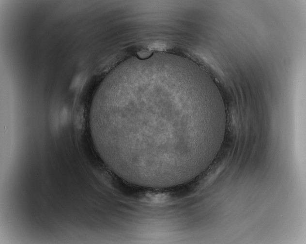 X0000094190311200711091206