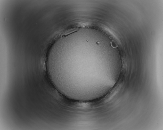 X0000094190313200711091206