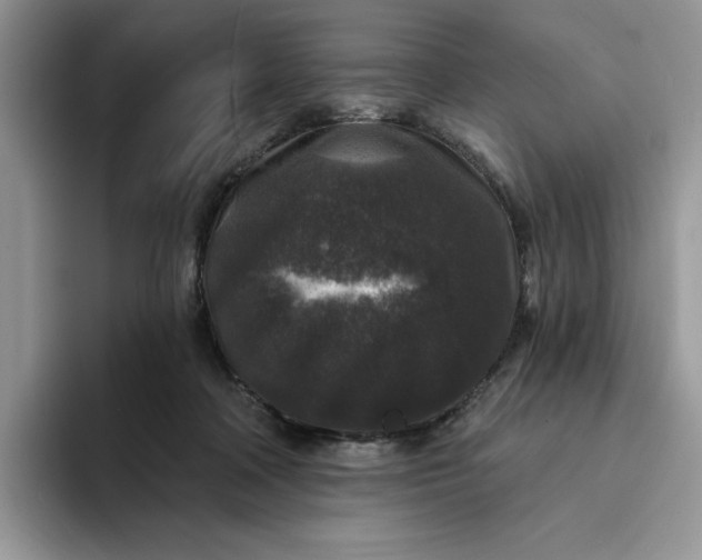 X0000094190314200711091206