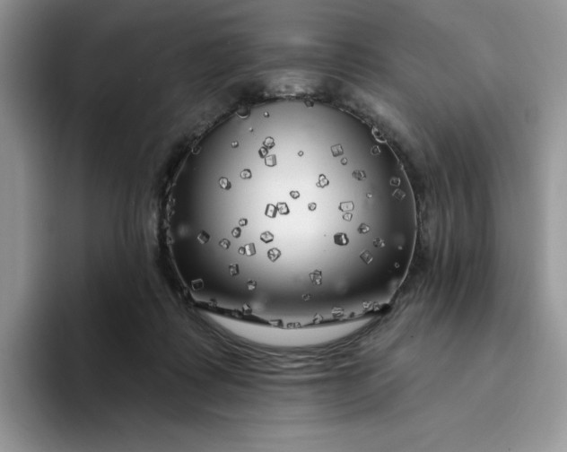 X0000094190315200711091206