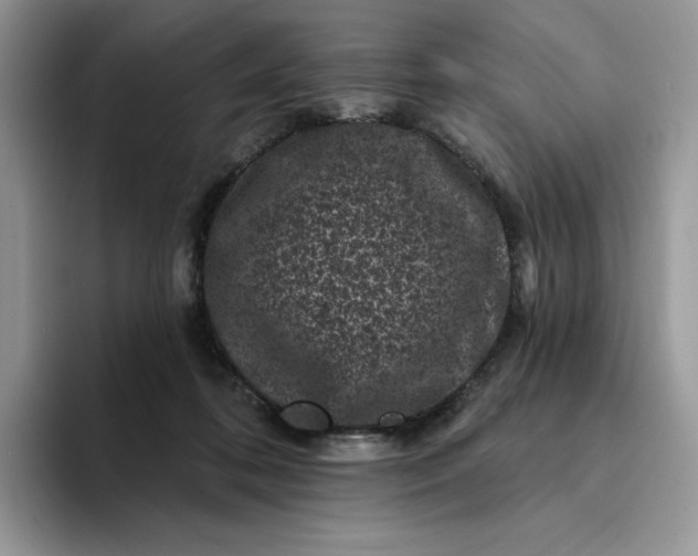 X0000094190316200711091206