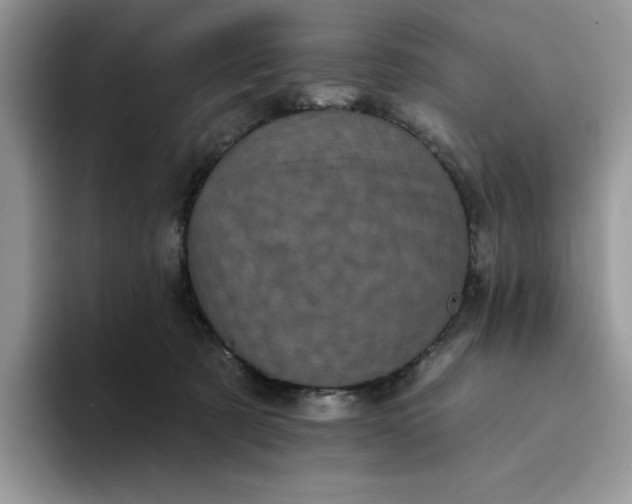 X0000094190321200711091206