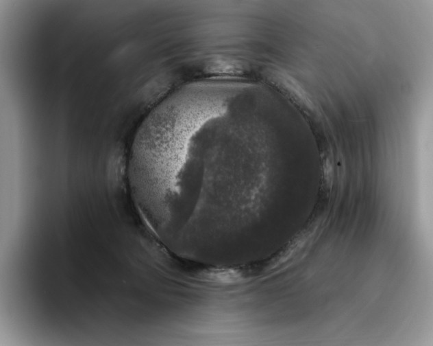 X0000094190322200711091206