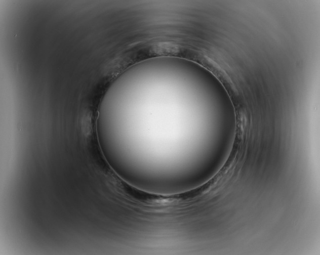 X0000094190323200711091206