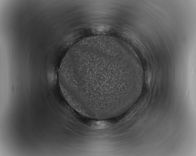 X0000094190324200711091206