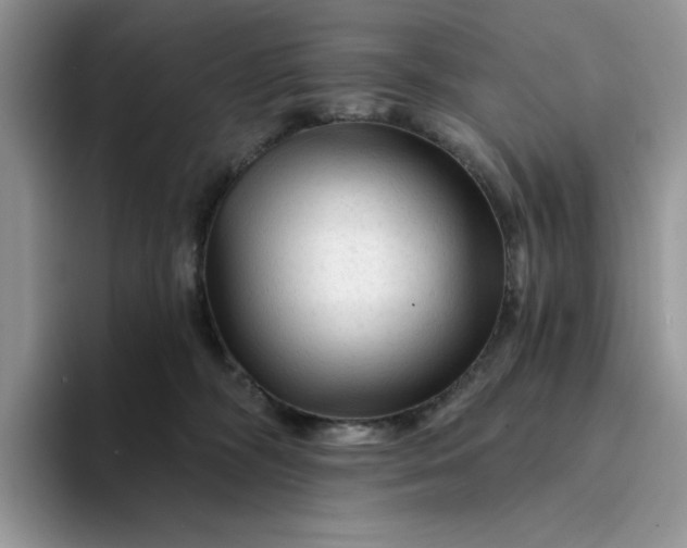 X0000094190326200711091206