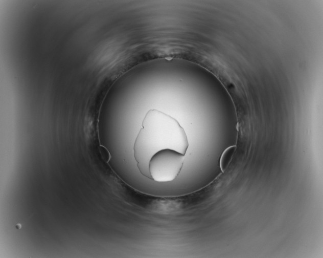 X0000094190327200711091206