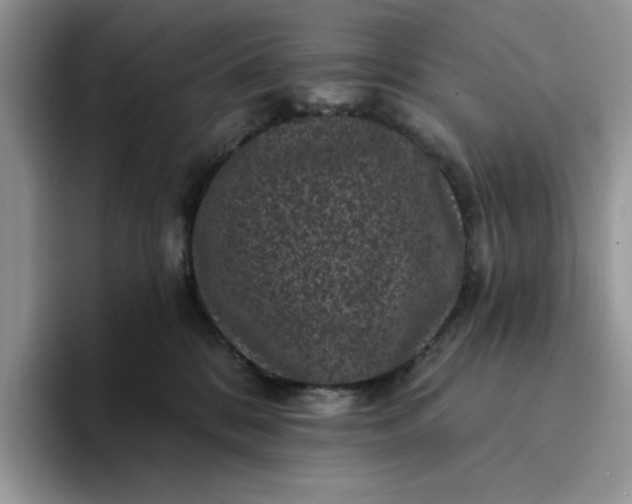 X0000094190328200711091206