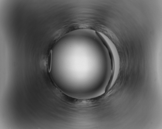 X0000094190329200711091206