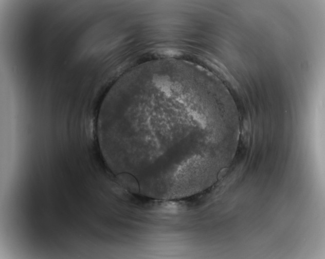 X0000094190330200711091206