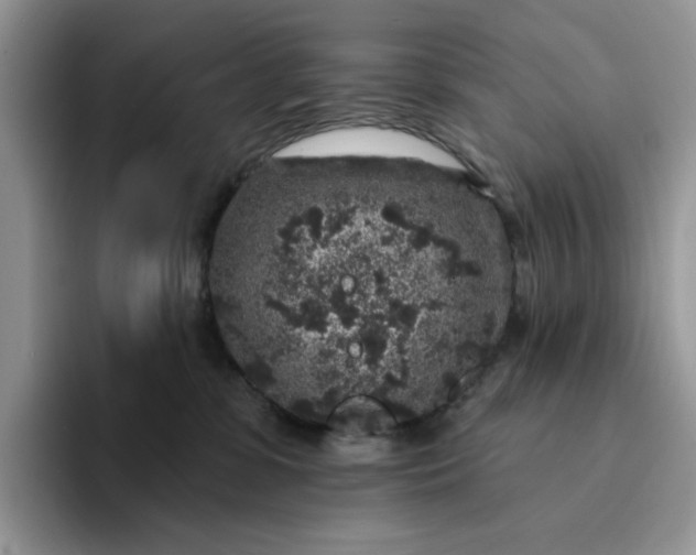 X0000094190331200711091206