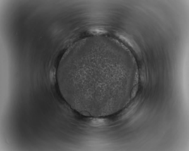 X0000094190332200711091206