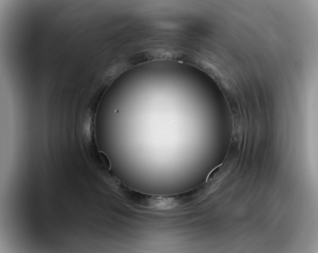 X0000094190334200711091205