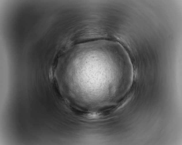 X0000094190335200711091205