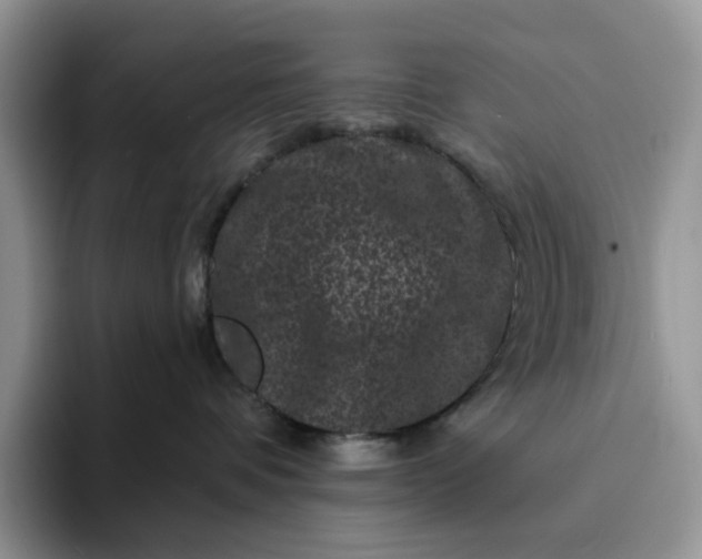 X0000094190336200711091205