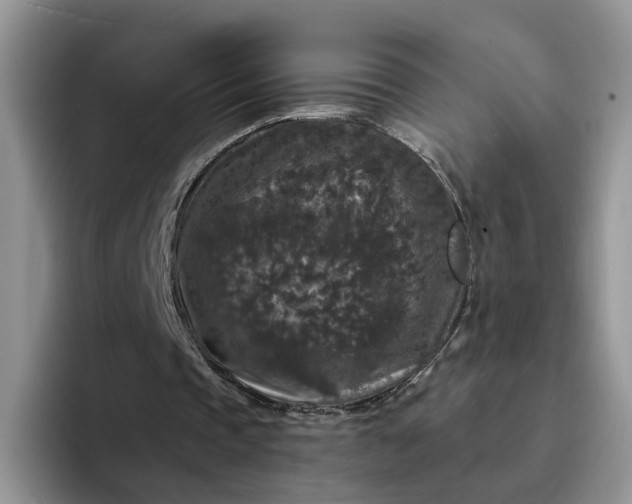 X0000094190337200711091205